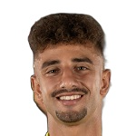 T. Fernandes Leiite