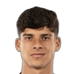 G. Neiva Silva
