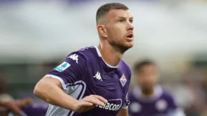 Edin Dzeko
