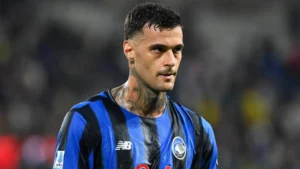 Scamacca