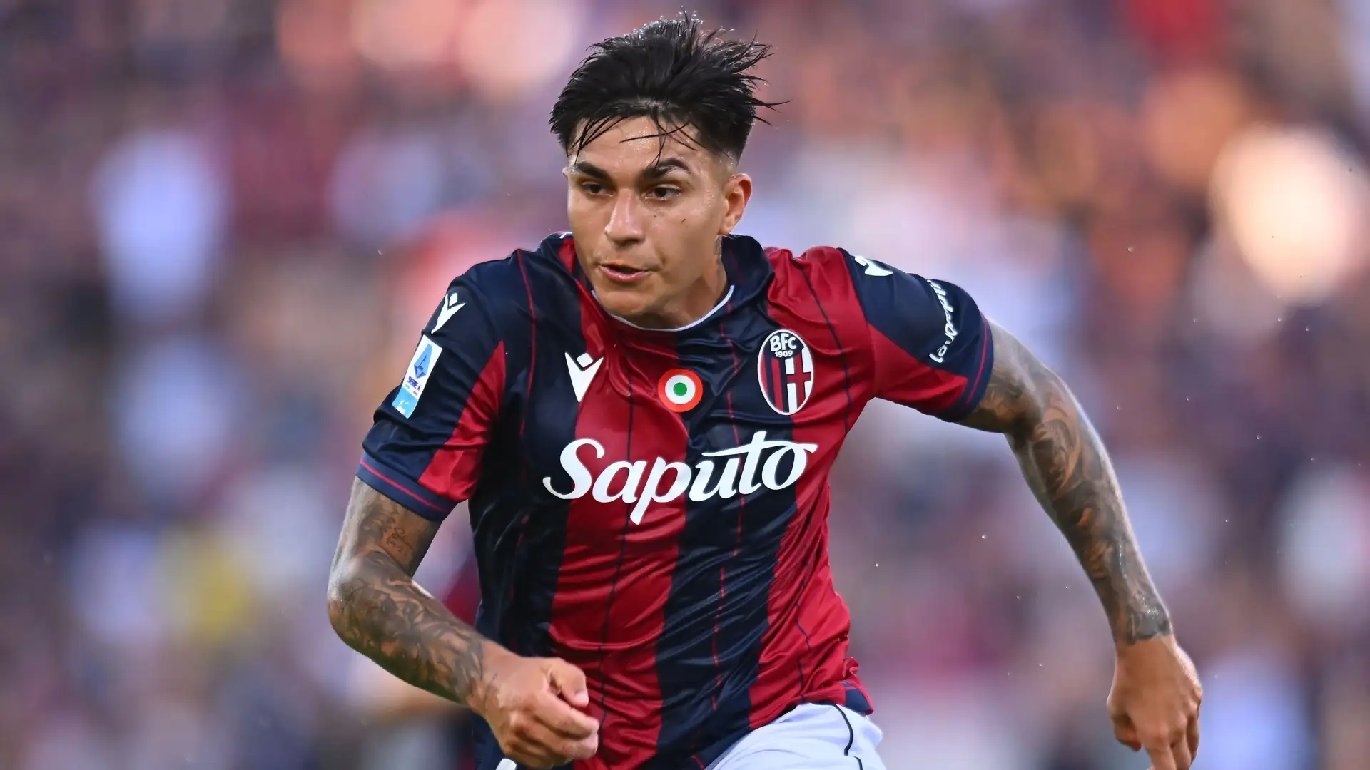 bologna cremonese al dall8217ara si chiude la 13170 giornata le scelte di italiano e nicola da Serieagoal.it bologna cremonese al dall8217ara si chiude la 13170 giornata le scelte di italiano e nicola