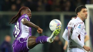 fiorentina torino